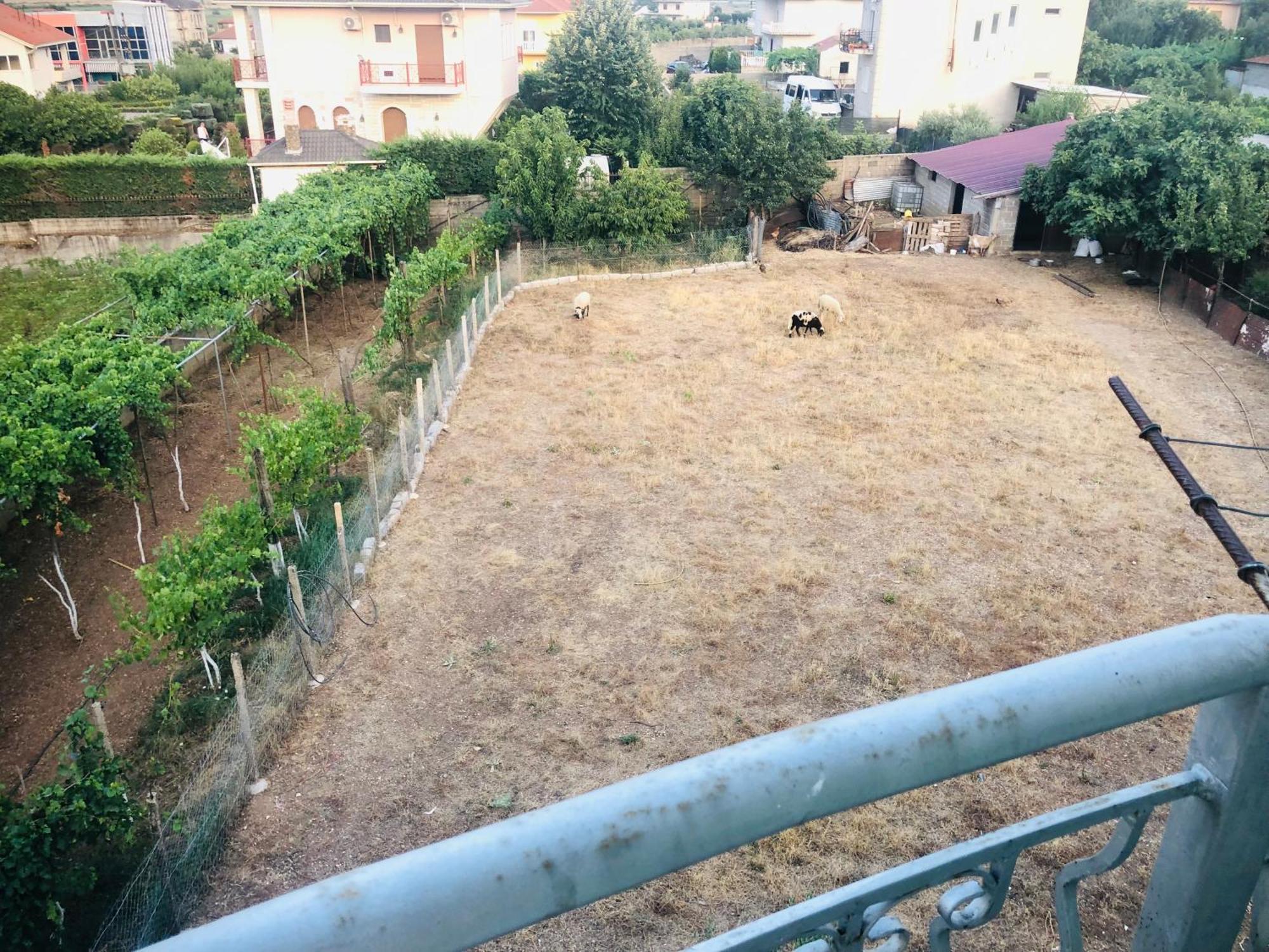 Villa Orhan Lazarat Gjirokastër Esterno foto